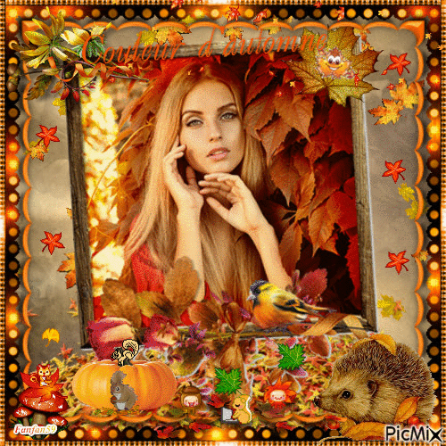 Couleur d'automne - Free animated GIF