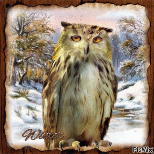 Winter Owl-RM-12-25-22 - GIF เคลื่อนไหวฟรี