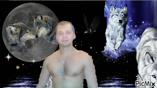ночные волки - GIF animate gratis