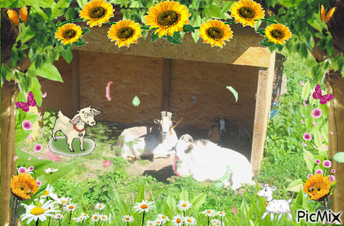 repos pour mes chèvres - GIF animé gratuit