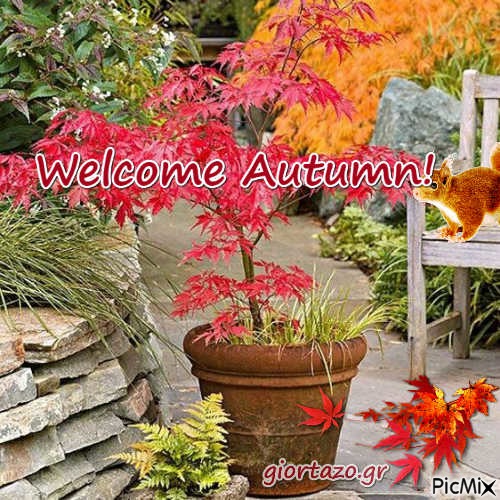 Welcome Autumn! - zdarma png
