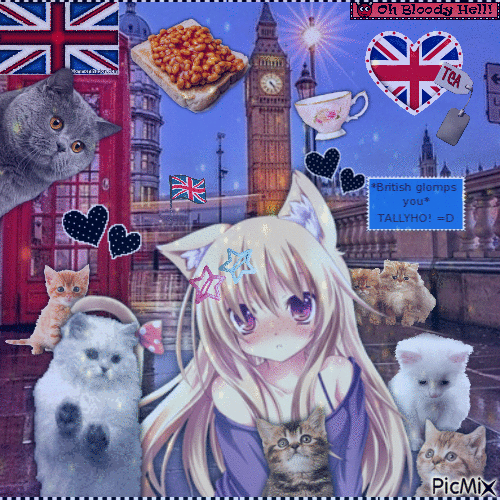 british cats - Gratis animeret GIF