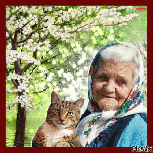 la vieille dame - Ingyenes animált GIF