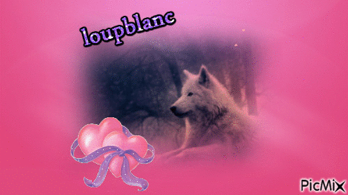loup blanc - Бесплатни анимирани ГИФ