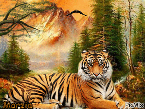 tigre - Free animated GIF