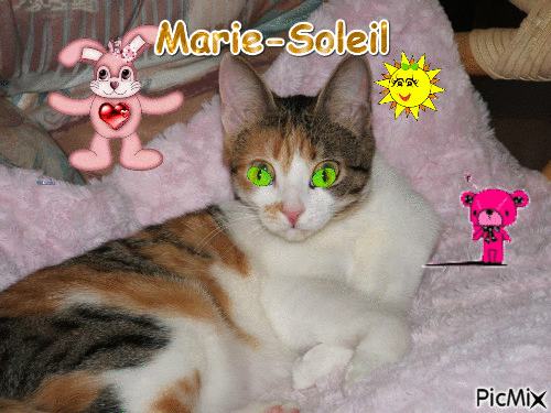 Marie-Soleil - Бесплатный анимированный гифка