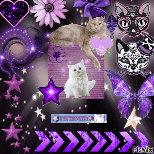 beware the purple kitties - GIF animé gratuit