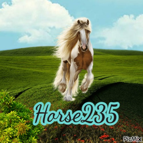 Horse235 - ücretsiz png