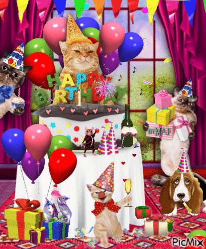 Birthday Cat - Безплатен анимиран GIF