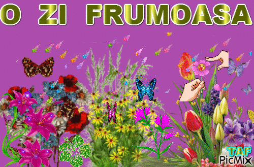 O ZI  FRUMOASA - Bezmaksas animēts GIF