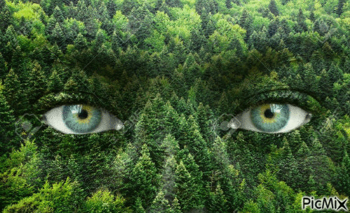 yeux nature - Gratis geanimeerde GIF