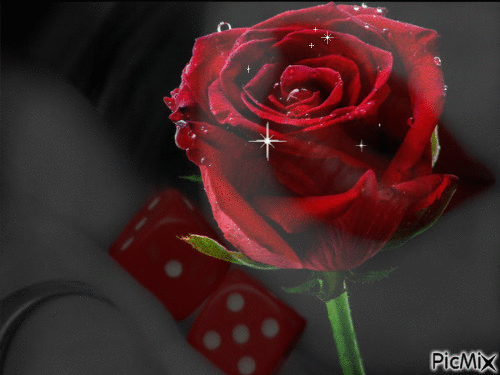rose de l'amour - Ilmainen animoitu GIF