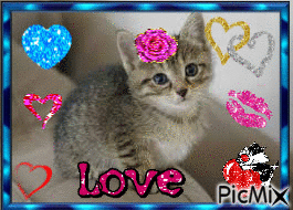 love chat - Free animated GIF