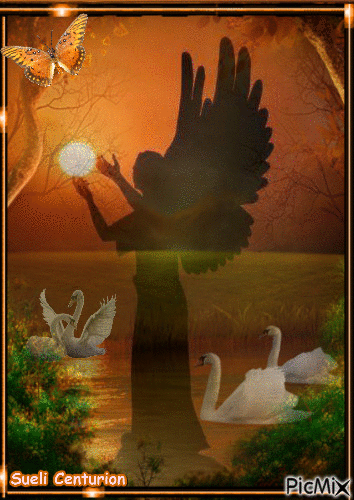 O Anjo e os Cisnes - Gratis animeret GIF