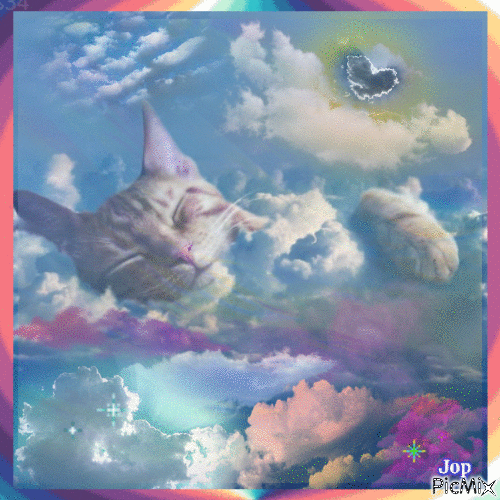 Chat nuage - Free animated GIF