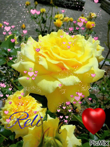 roses so sweet - Ingyenes animált GIF