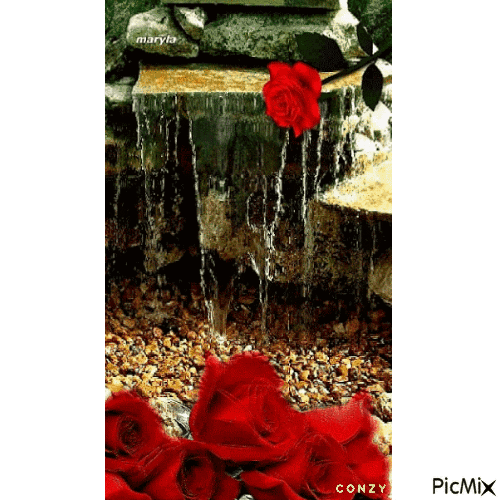 Agua y flor - Gratis geanimeerde GIF