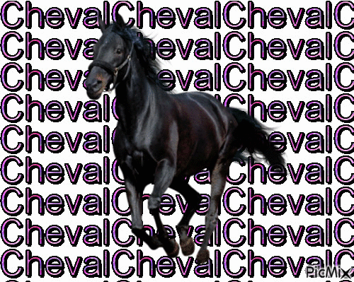 Cheval - GIF animé gratuit