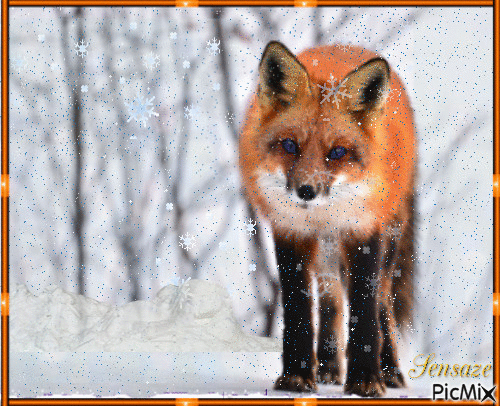 How Are You Mr. Fox? - GIF animé gratuit
