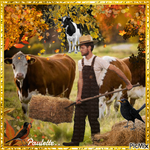 vaches en automne - Free animated GIF