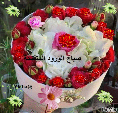 صباح الورود - Безплатен анимиран GIF
