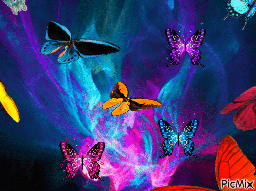 butterflies - 免费动画 GIF