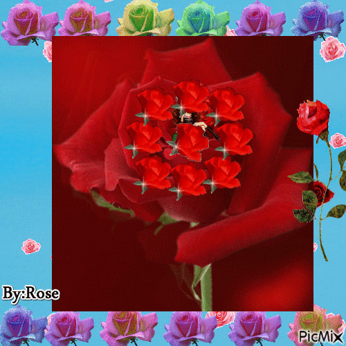 Rosa - Ingyenes animált GIF