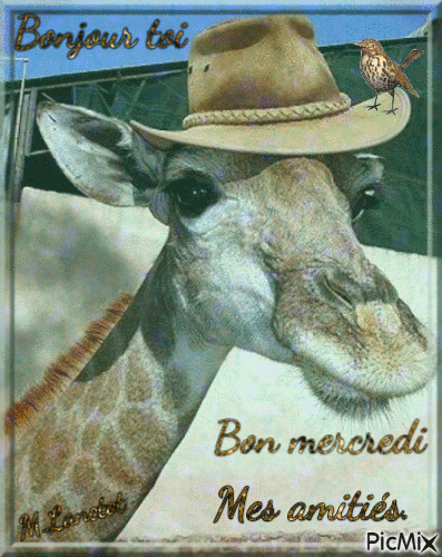 bonjour toi girafe - GIF animate gratis