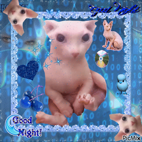 bingus bids u sweet dreams, goodnight - Bezmaksas animēts GIF