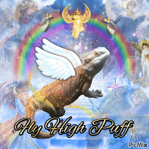 Fly high puff - 免费动画 GIF