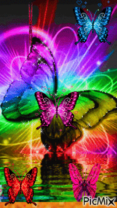 Kleurrijke vlinders - Gratis animerad GIF
