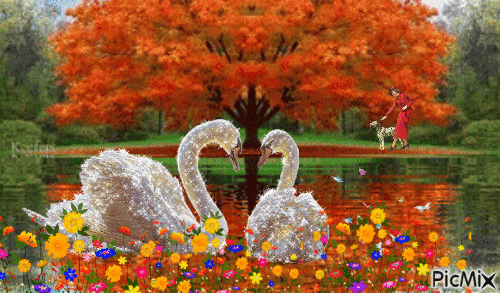 Swans - GIF animé gratuit