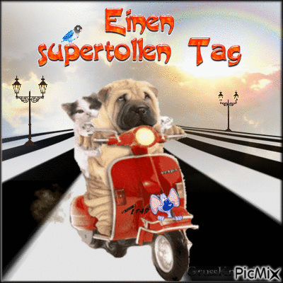 Supertollen Tag - 免费动画 GIF