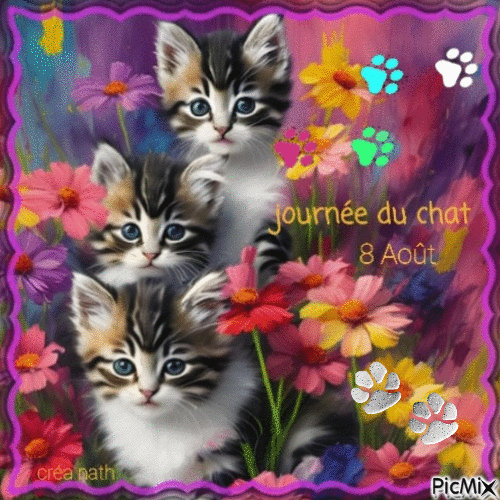 Journée mondiale du chat, 8 Août...concours - Nemokamas animacinis gif