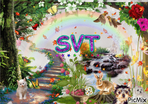 SVT - Darmowy animowany GIF