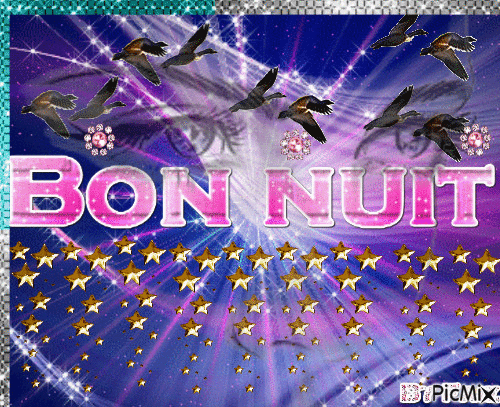 bon nuit - Animovaný GIF zadarmo