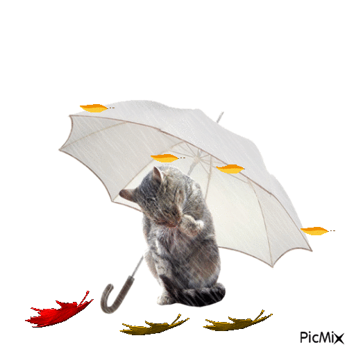 ombrello - Darmowy animowany GIF