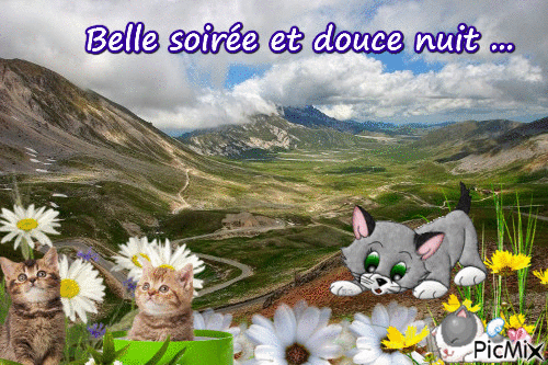 Belle soirée - Bezmaksas animēts GIF
