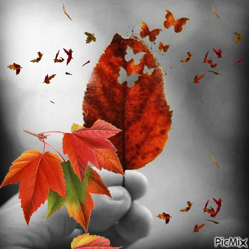 otoño - Gratis animeret GIF
