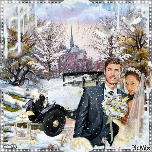 mariage d'hiver - Free animated GIF