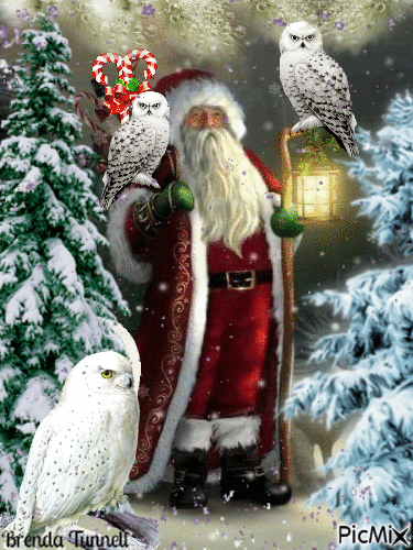 Christmas owl - Gratis animerad GIF