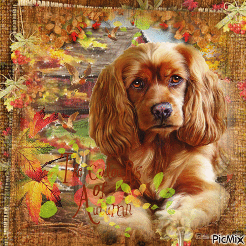 Autumn dog - Animovaný GIF zadarmo