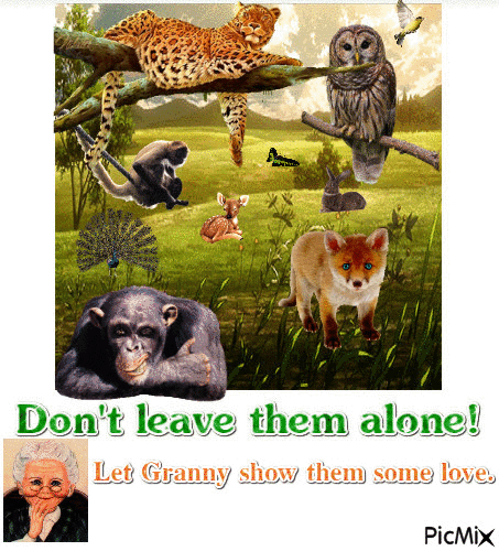 Granny Love - GIF animé gratuit