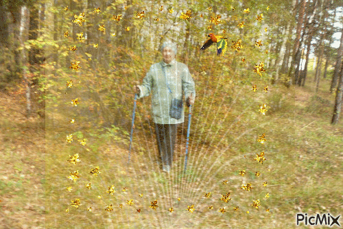 Золотая осень - Ilmainen animoitu GIF
