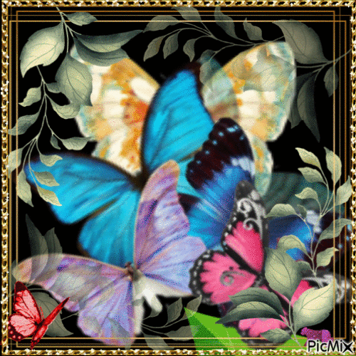 Rainbow Butterfly - Nemokamas animacinis gif