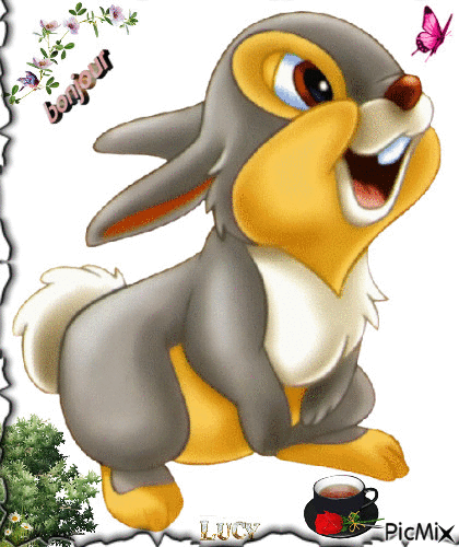 le lapin - GIF animado grátis