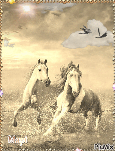 Chevaux au galop - Free animated GIF