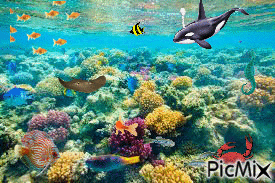 mer profonde - GIF animasi gratis
