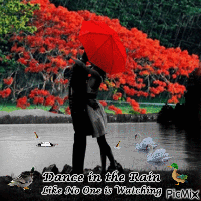 Dance in the Rain - GIF animé gratuit