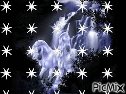 حصان - Zdarma animovaný GIF